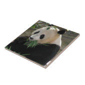 Panda Beer Hugs Tegeltje (Zijkant)