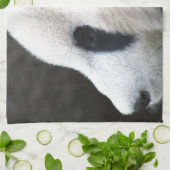 Panda Beer Hugs Theedoek (Gevouwen)