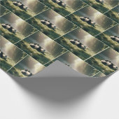 Panda Beer in de zon Cadeaupapier (Hoek)