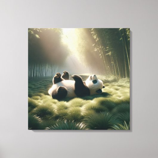 Panda Beer in de zon Canvas Afdruk (Voorkant)