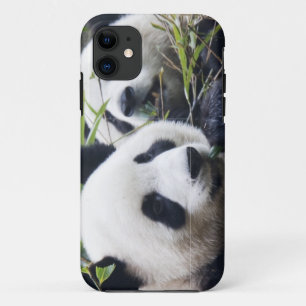Panda Beer Knuffels Case-Mate iPhone Case