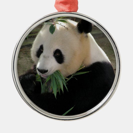 Panda Beer Knuffels Metalen Ornament (Voorkant)