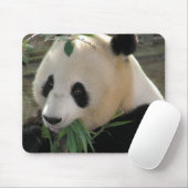 Panda Beer Knuffels Muismat (Met muis)