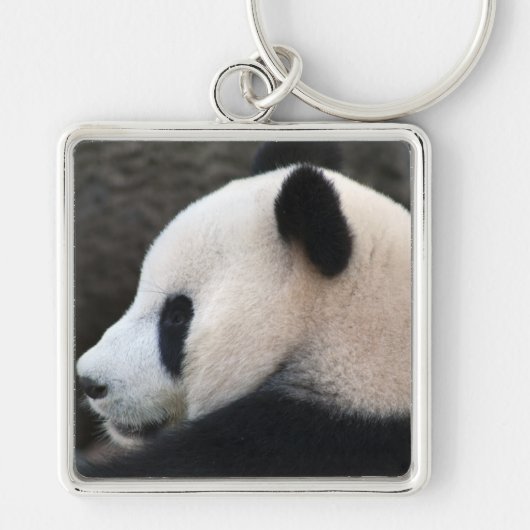 Panda Beer Knuffels Sleutelhanger (Voorkant)