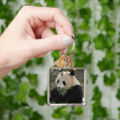 Panda Beer Knuffels Sleutelhanger (Hand)