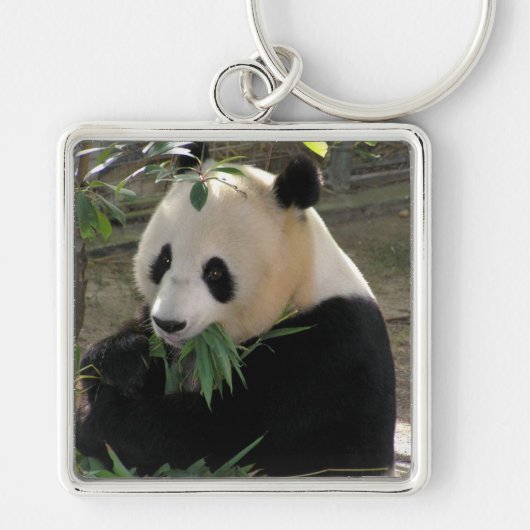 Panda Beer Knuffels Sleutelhanger (Voorkant)