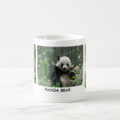 PANDA BEER KOFFIEMOK (Center)