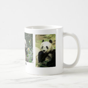 PANDA BEER KOFFIEMOK