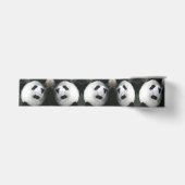Panda Beer Lint (Voorkant)