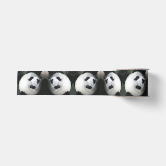 Panda Beer Lint (Voorkant)