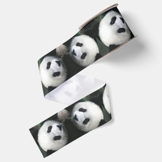 Panda Beer Lint (Achterkant)