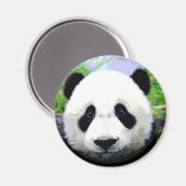 Panda Beer Magneet (Voorkant / Achterkant)