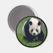 Panda Beer Magneet (Voorkant / Achterkant)