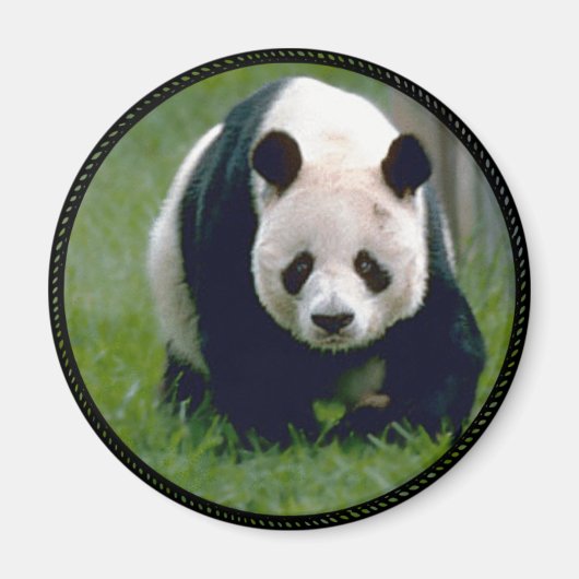 Panda Beer Magneet (Voorkant)