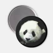 Panda Beer Magneet (Voorkant / Achterkant)