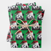 Panda Beer met een Santa Claus-Pet Inpakpapier Vel (In situ)