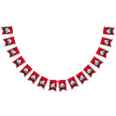 Panda Beer met een Santa Claus-Pet Vlaggetjes (Alle)