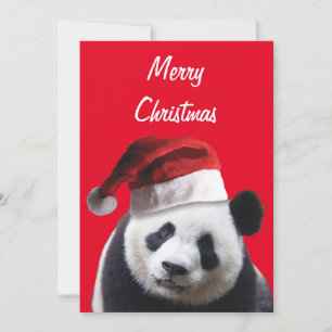 Panda Beer met kerstcadeau Pet Bedankkaart