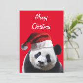 Panda Beer met kerstcadeau Pet Bedankkaart (Staand voorkant)