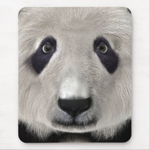 Panda Beer Muismat