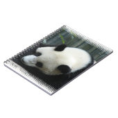 Panda Beer notebook Notitieboek (Linkerzijde)