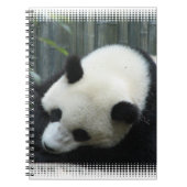Panda Beer notebook Notitieboek (Voorkant)