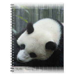 Panda Beer notebook Notitieboek