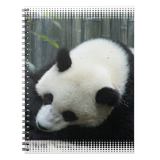 Panda Beer notebook Notitieboek (Voorkant)