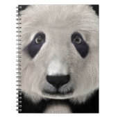 Panda Beer Notitieboek (Voorkant)