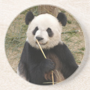 Panda Beer Onderzetter