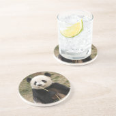 Panda Beer Onderzetter (Zijkant)