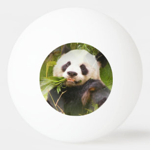Panda Beer Pingpongbal