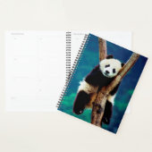 Panda Beer Planner (Display)