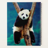 Panda Beer Planner (Achterkant)