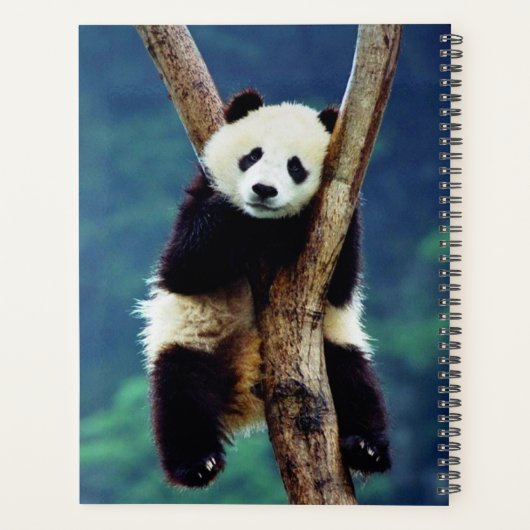 Panda Beer Planner (Achterkant)