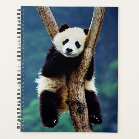 Panda Beer Planner (Voorkant)