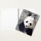 Panda Beer Planner (Display)