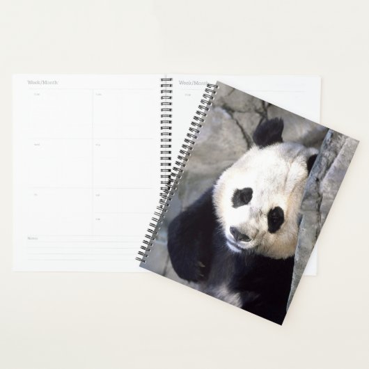 Panda Beer Planner (Display)