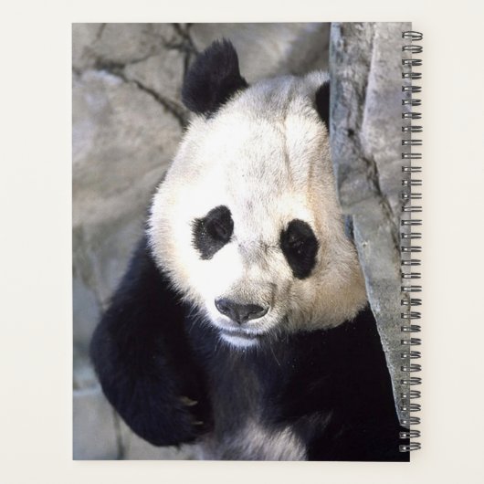 Panda Beer Planner (Achterkant)