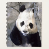 Panda Beer Planner (Voorkant)