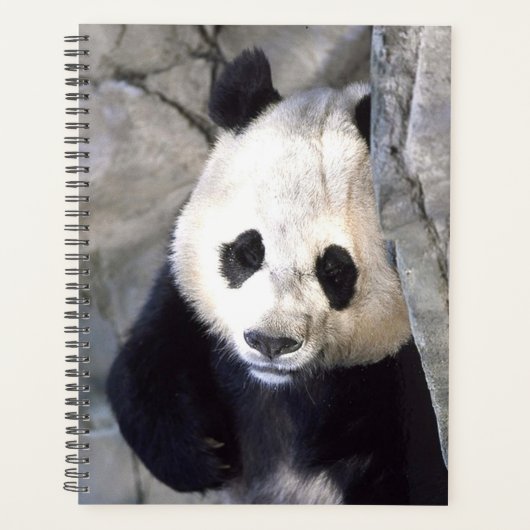 Panda Beer Planner (Voorkant)