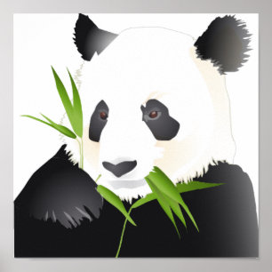 Panda Beer Poster