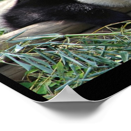 Panda beer poster (Hoek)