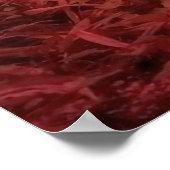 Panda Beer Poster (Hoek)