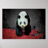 Panda Beer Poster (Voorkant)