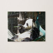 Panda Beer Puzzle Legpuzzel (Horizontaal)