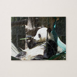 Panda Beer Puzzle Legpuzzel