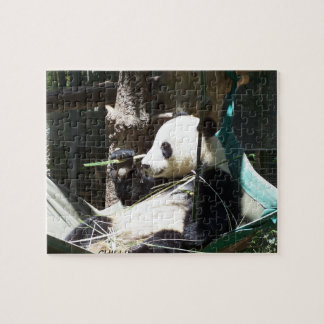Panda Beer Puzzle Legpuzzel
