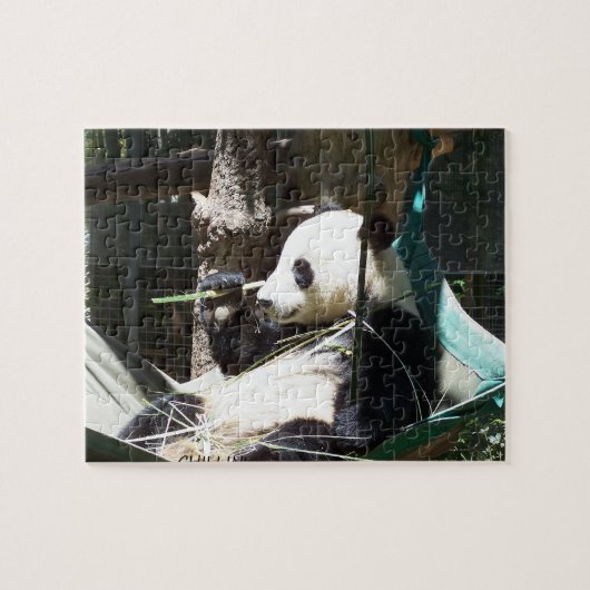 Panda Beer Puzzle Legpuzzel (Horizontaal)