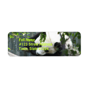 Panda Beer Return Address Label